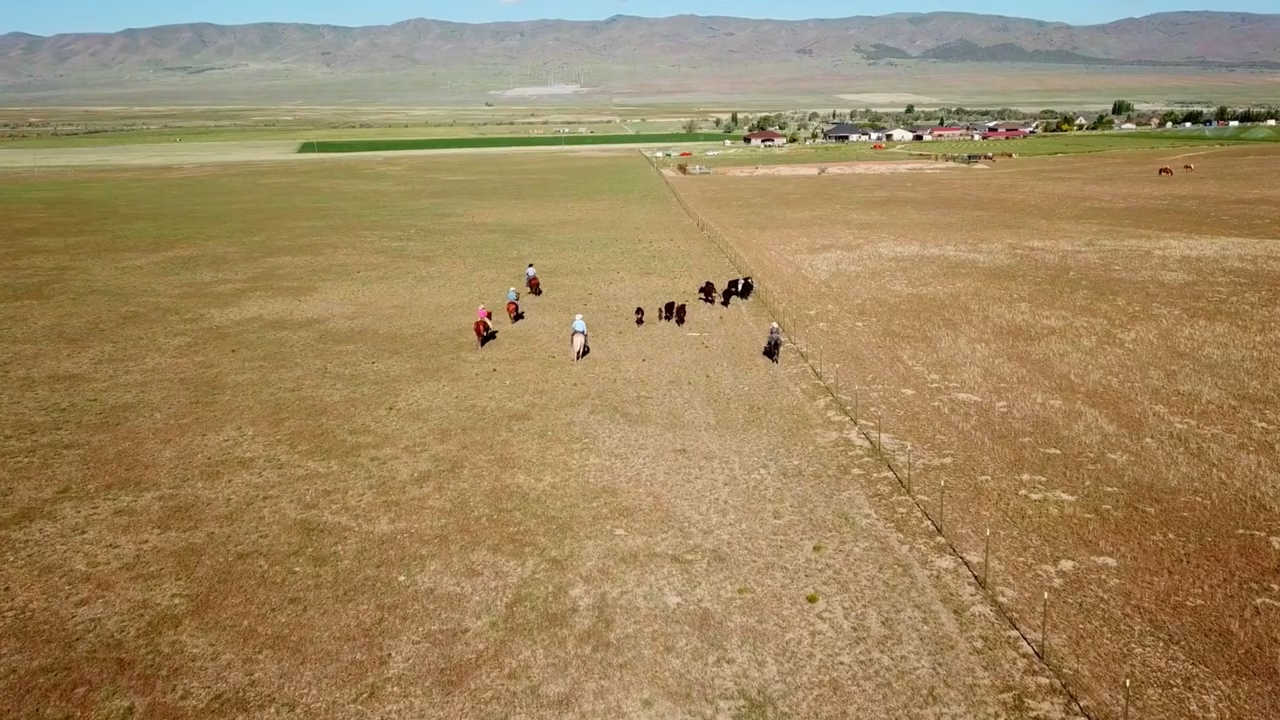 fresh beef box delivery